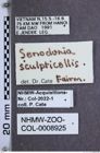 Etiketten zu Senodonia sculpticollis (NHMW-ZOO-COL-0008925)